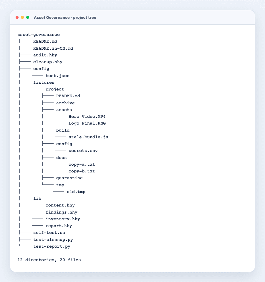 The actual Asset Governance layout and risky fixtures